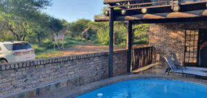 Giraffe Plains Marloth Park 11