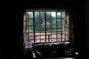 Giraffe Plains Marloth Park 14